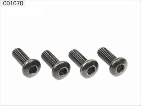 Esky 900 Schraubensatz 3*6mm (10 Stück) (001070)