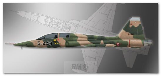 Northrop F-5B Freedom Fighter 1:72