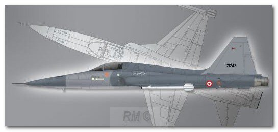 Northrop F-SA Freedom Fighter 1:72