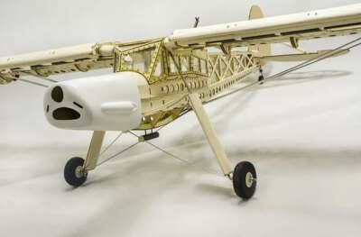 Fieseler Fi 156 Storch 1600mm