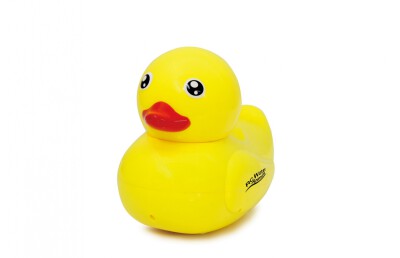 RC Water Animals 2,4GHz Ente