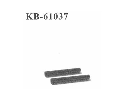 KB-61037 Hinge Pins Querlenker vorne außen