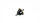 VB1111 Differential Set v/h EVO-X 6000