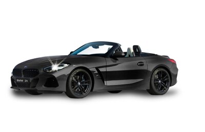 BMW Z4 Roadster 1:14 Tür 2,4 GHz A