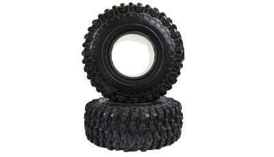 Reifen und Einlagen, 2 Stück RCX10.3