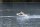 Naval Rescue Boat 540mm