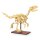 CaDA Dinosaurier Fossil Velociraptor Bricks